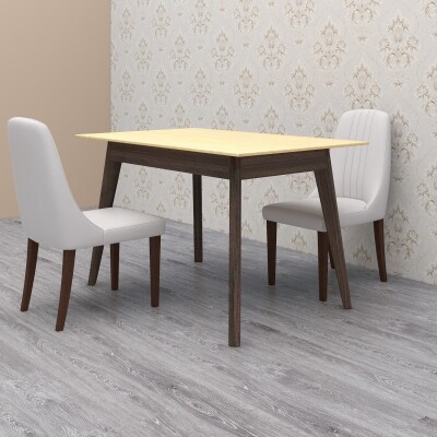 Modern Contemporary Dining Set