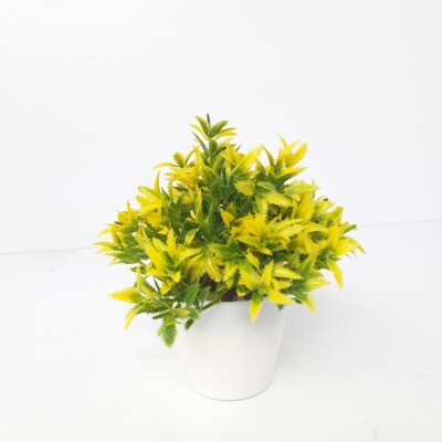 SL15 Yellow Green Artificial Plant (FC)