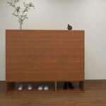 BH Traditional Style Shoe Cabinet