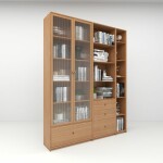 Modern Glass-Front Bookcase Filling Cabinet