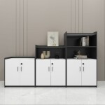 Modern Storage Cabinet with Doors Filling Cabinet