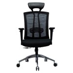 High Back and Black Mesh Chair special - FH- 4001(DELUXE SP)