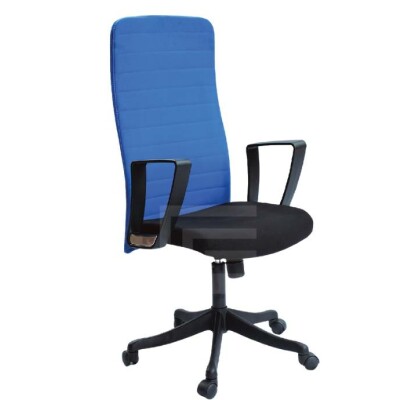 High back Blue ergonomic chair with Nylon base FH-4012