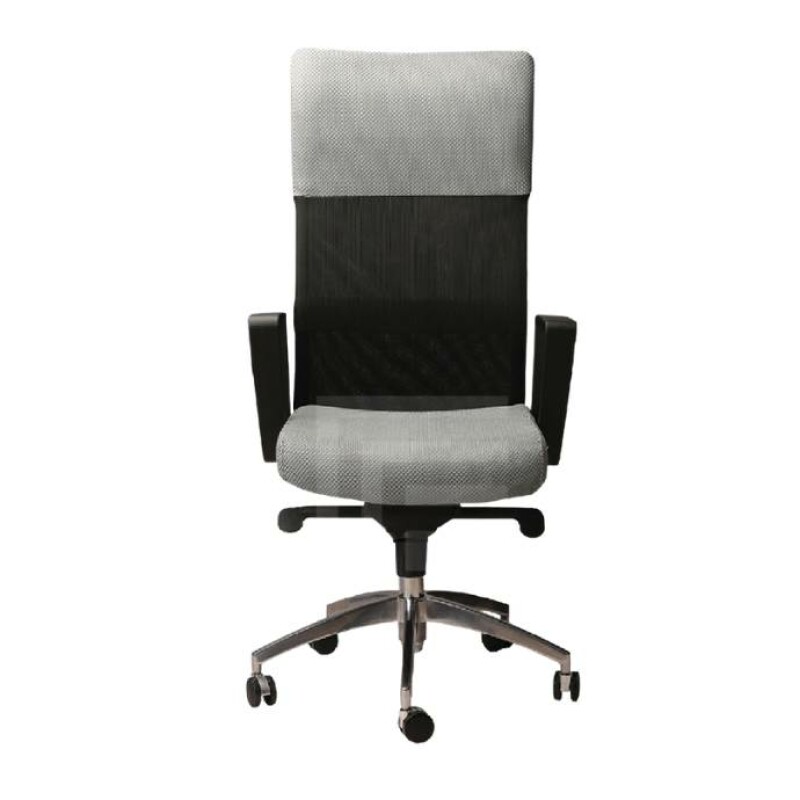 High back Gray ergonomic chair with Aluminium base FH-4013