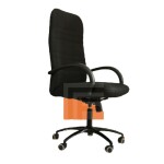 High Back Mesh Chair with Fixed PU Armrests, High-Density Foam, and Metal Base - FH-4031