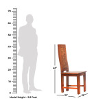 Coin Dining Chair