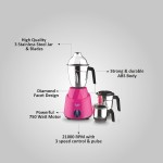 Preethi Galaxy Mixer Grinder